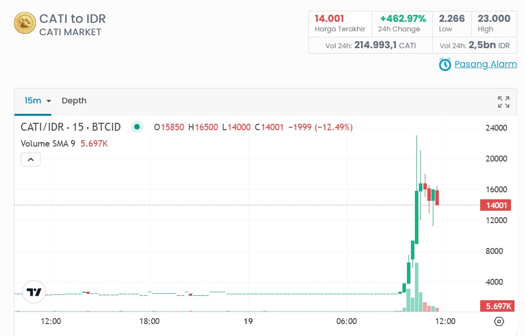 Harga CATI Coin Up 431.04%, Berikut Strategi Cut Loss dan Take Profit CATI Coin Terbaru