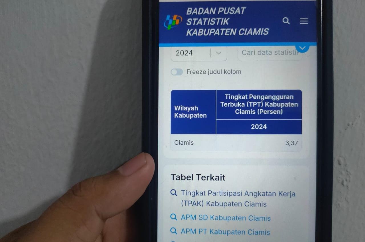 Menurut BPS, Angka Pengangguran di Ciamis Tahun 2024 Menurun, Ini Indikatornya