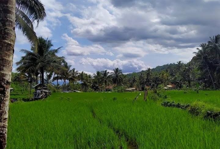 Ini 5 Hidden Gem di Ciamis yang Belum Banyak Orang Tahu, Indah Banget Pokoknya