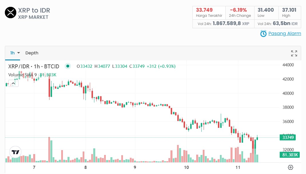 Prediksi Harga XRP terhadap IDR Hari Ini, Akankah XRP Melonjak Lagi?