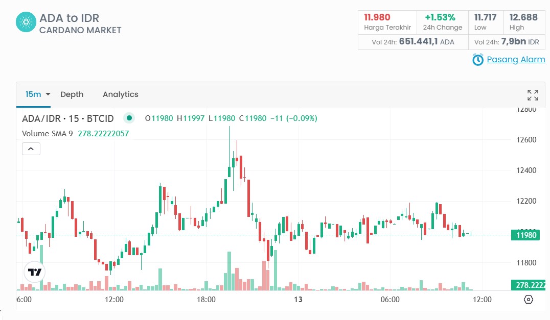 Prediksi Harga Cardano (ADA) Apakah Bisa Tembus Rp 30.000? Cek di Sini