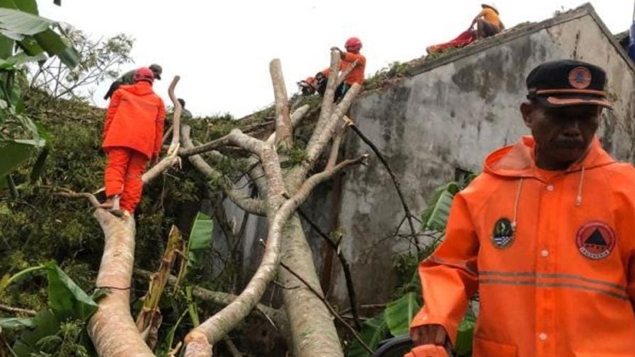 Sore Tadi Belasan Pohon Tumbang dan Rumah Rusak di Ciamis Akibat Hujan Lebat Disertai Angin Kencang