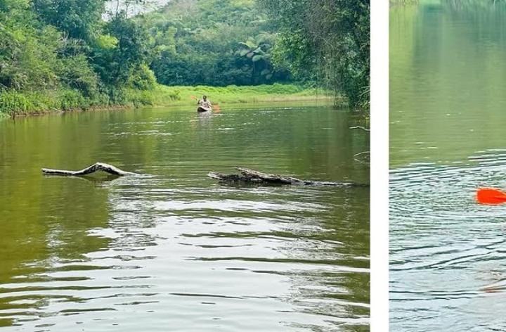 Liburan ke Desa Wisata Cibeureum Ciamis Yuk, Bisa Perahuan di Situ Cibubuhan Sambil Menikmati Alam Tatar Galuh