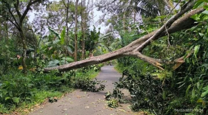 Angin Kencang Melanda Sejumlah Wilayah di Kabupaten Ciamis, Warga Diimbau Waspada