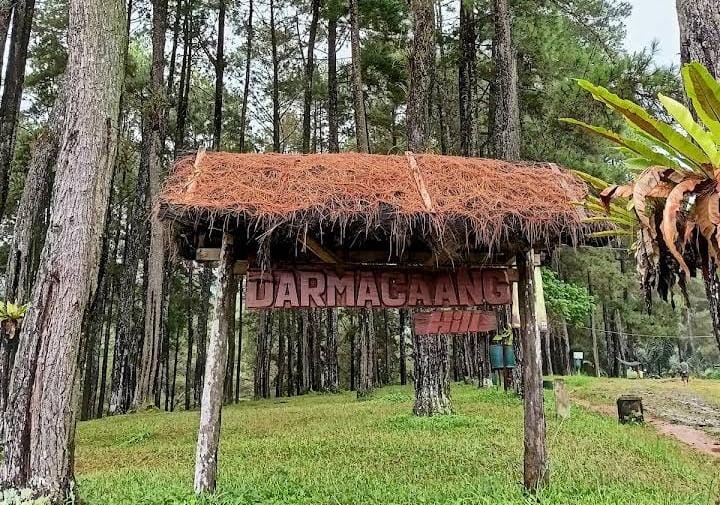 Libur Tahun Baru 2025 di Hutan Pinus Darmacaang, Simak Daya Tarik Wisata yang Ada di Ciamis Ini