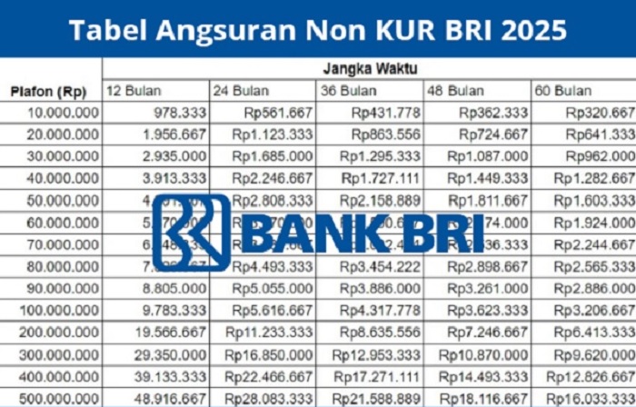 Pinjaman Non KUR BRI 2025, Solusi Dana UMKM dan Pribadi hingga Rp250 Juta dengan Cicilan Ringan
