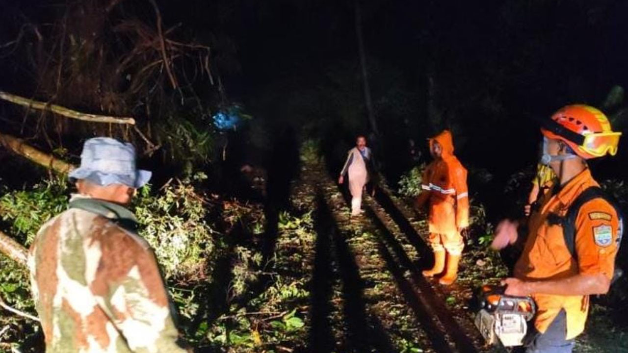 Hujan Lebat Sebabkan Longsor di Ciamis, Material Setinggi 10 Meter Tutup Jalan Kabupaten