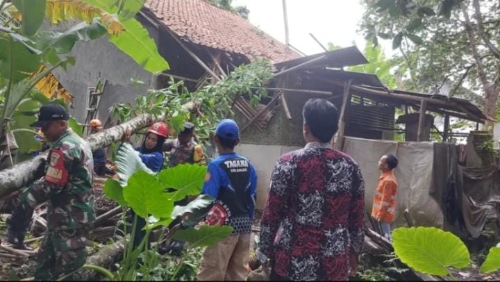 Tersapu Angin Kencang, Rumah di Kota Banjar Tertimpa Pohon, Penghuni Sedang Tertidur