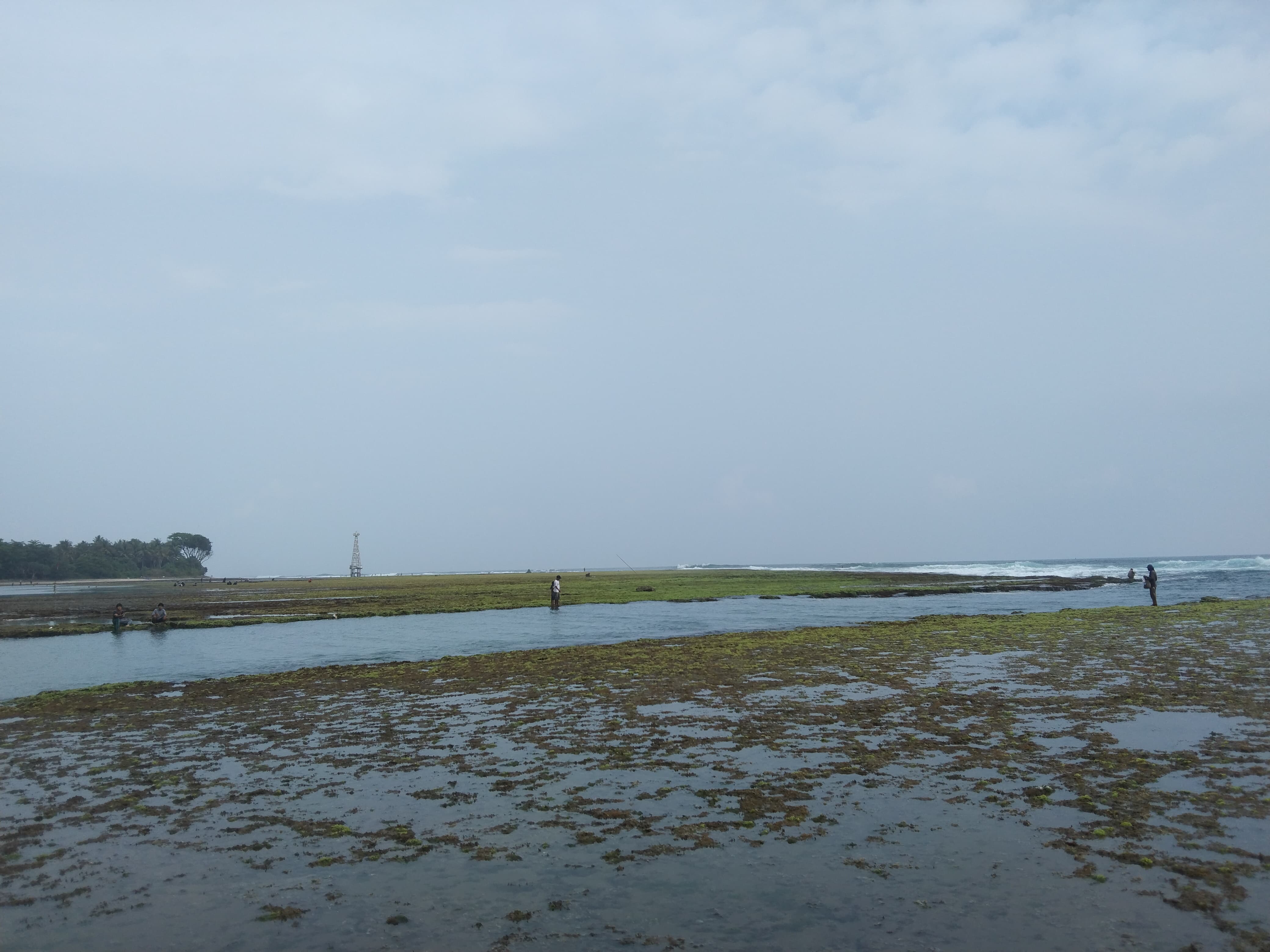 Pemandangan Terumbu Karang Pantai Sindangkerta Bikin Jatuh Cinta Wisatawan