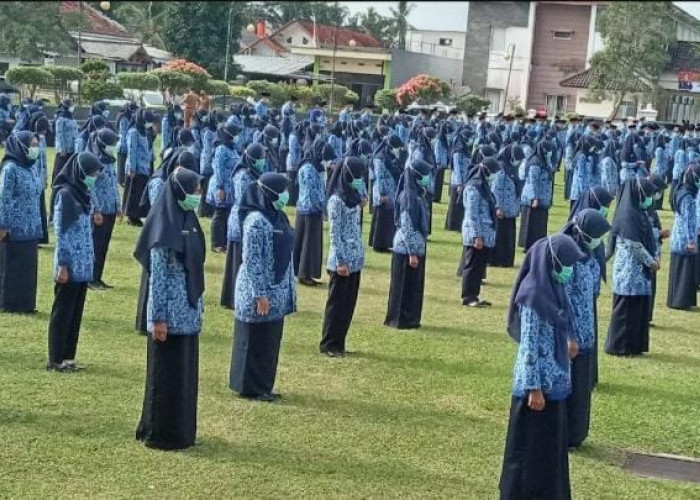 PNS di Pangandaran Belum Menerima Tambahan Penghasilan Pegawai Selama Tiga Bulan