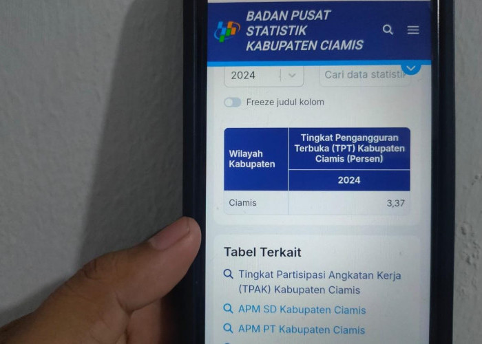 Menurut BPS, Angka Pengangguran di Ciamis Tahun 2024 Menurun, Ini Indikatornya