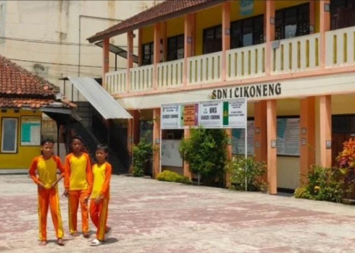 Sekolah di Kabupaten Ciamis Menunggu Program Makan Bergizi Gratis, Mengapa Belum Dimulai?