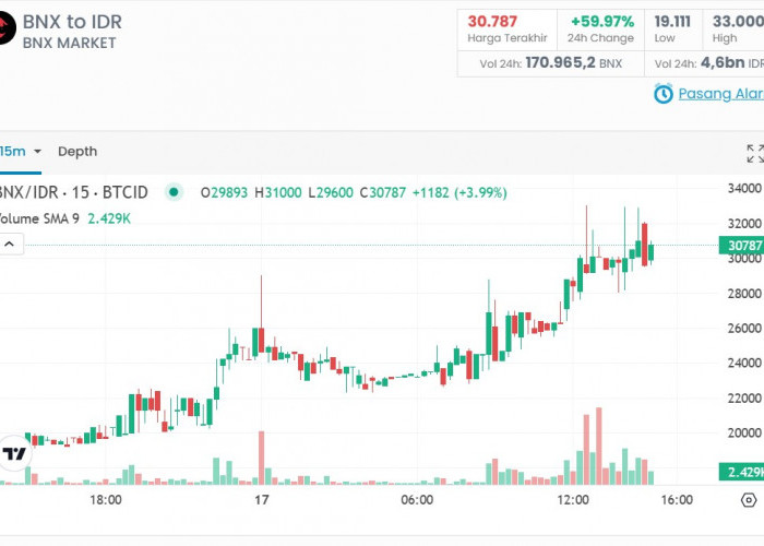 BNX Akankah Terus Naik atau Siap Terkoreksi? Berikut Prediksi Harga BNX