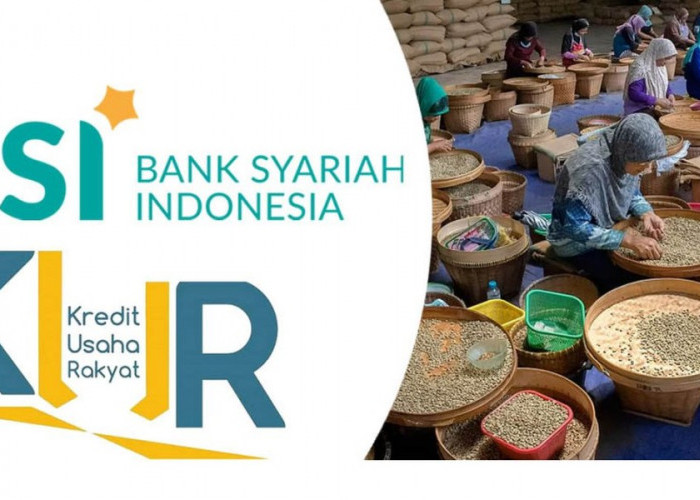 Pinjaman KUR BSI 500 Juta, Solusi Modal Usaha Besar dengan Syarat Mudah
