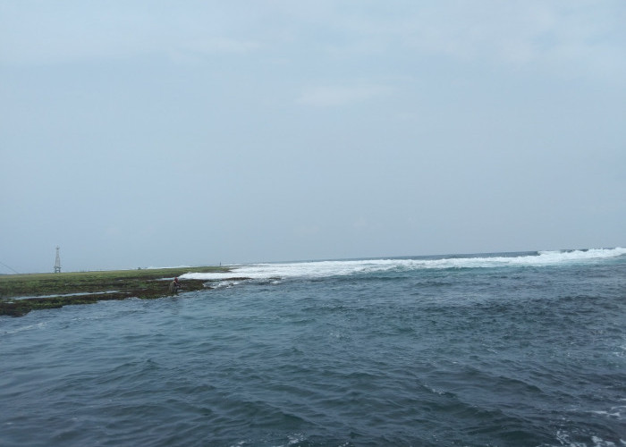 Ini Alasan Mengapa Kamu Harus Liburan ke Pantai Sindangkerta, Wisatawan: Ada Pemandangan Terumbu Karang