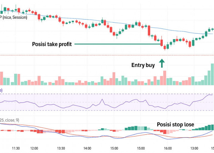 Trading Harian Alpaca Koin, Prediksi Harga Alpaca Koin Hari Ini 15 Mei 2025 Posisi Entry Pasar Bearish Cek di 