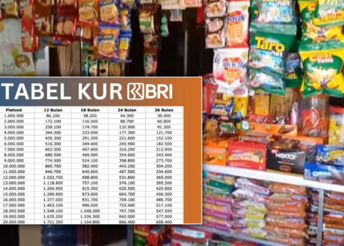 Langsung Cair Cepat! Pinjaman Usaha Toko Kelontong Cicilan Ringan Tanpa Jaminan dari KUR BRI 2025