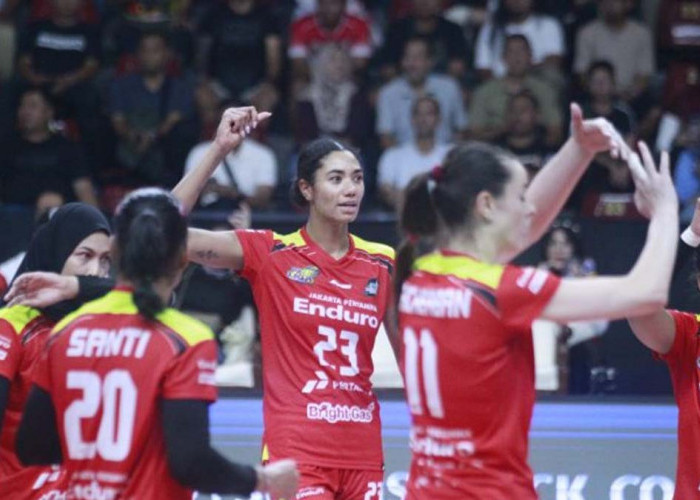 Agenda Voli Hari Ini: Puncak Proliga 2025 Digelar di Yogyakarta