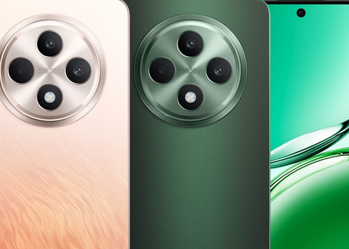 Harga dan Spesifikasi Oppo Reno12 Terbaru, Gak Bakal Kecewa!