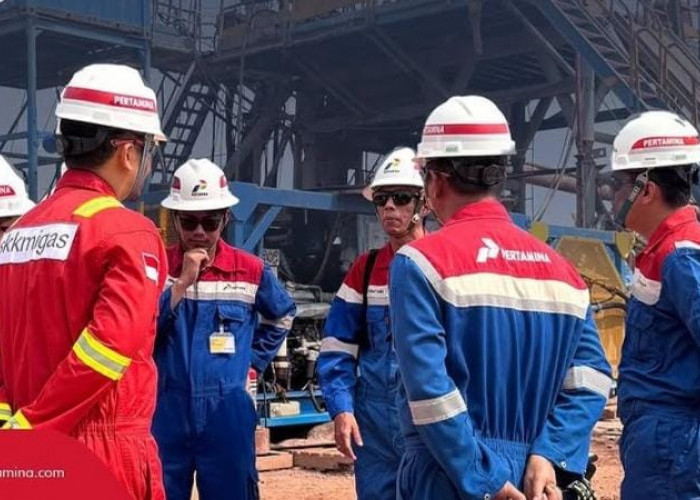 Dibuka Besok, Ini Daftar Formasi Magang Pertamina serta Lulusan Program Studi yang Dibutuhkan