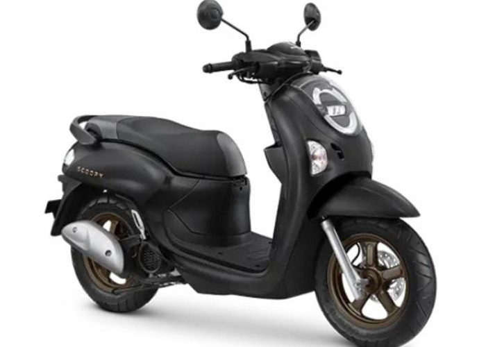 Ini Dia New Honda Scoopy 2025 yang Baru Saja Diluncurkan, Ada 8 Varian Warna yang Dihadirkan