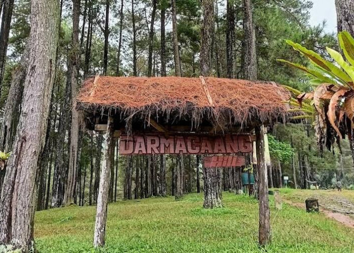 Libur Tahun Baru 2025 di Hutan Pinus Darmacaang, Simak Daya Tarik Wisata yang Ada di Ciamis Ini