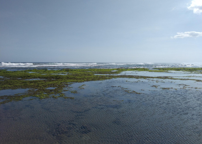 Pilih Pantai Sindangkerta atau Pantai Cipatujah untuk Liburan Tahun Baru 2025? Ini Daya Tarik Keduanya