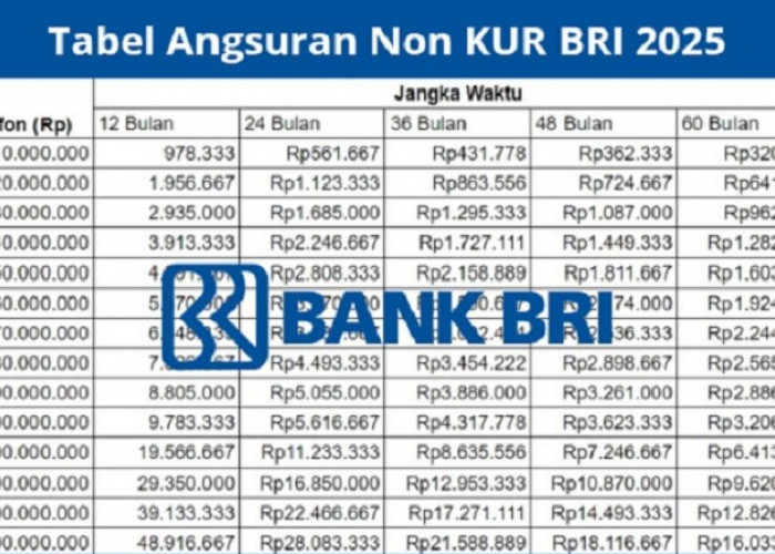 Pinjaman Non KUR BRI 2025, Solusi Dana UMKM dan Pribadi hingga Rp250 Juta dengan Cicilan Ringan