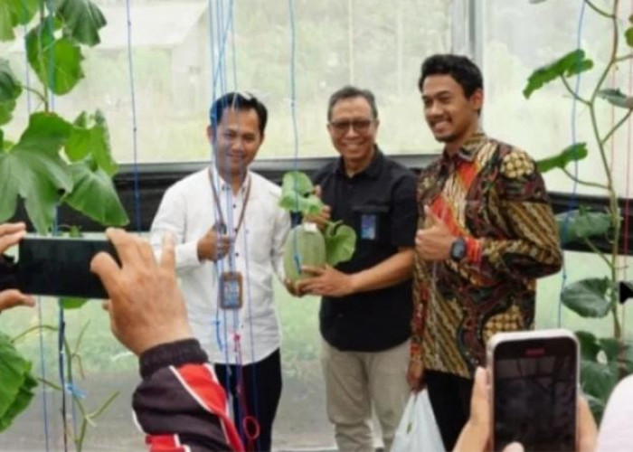 Keren! SMK Miftahussalam Ciamis Hadirkan Smart Garden, Dapat Apresiasi dari GM Telkom Priangan Timur