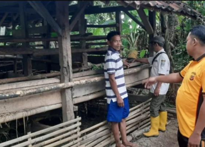 Pencurian Kambing dan Sepeda Motor Terjadi di Kota Banjar, Tinggalkan Jejak Dekat Sungai Citanduy