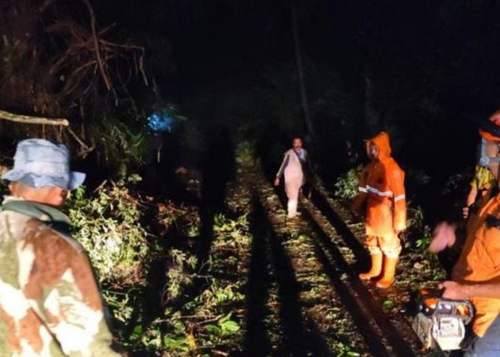 Hujan Lebat Sebabkan Longsor di Ciamis, Material Setinggi 10 Meter Tutup Jalan Kabupaten