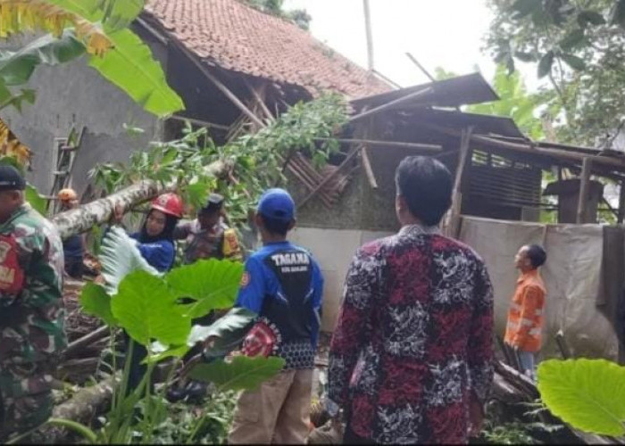 Tersapu Angin Kencang, Rumah di Kota Banjar Tertimpa Pohon, Penghuni Sedang Tertidur