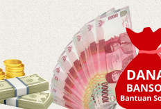 Cukup Pakai NIK KTP, Cara Mudah Cek Status Bansos BPNT 2026 Lewat HP